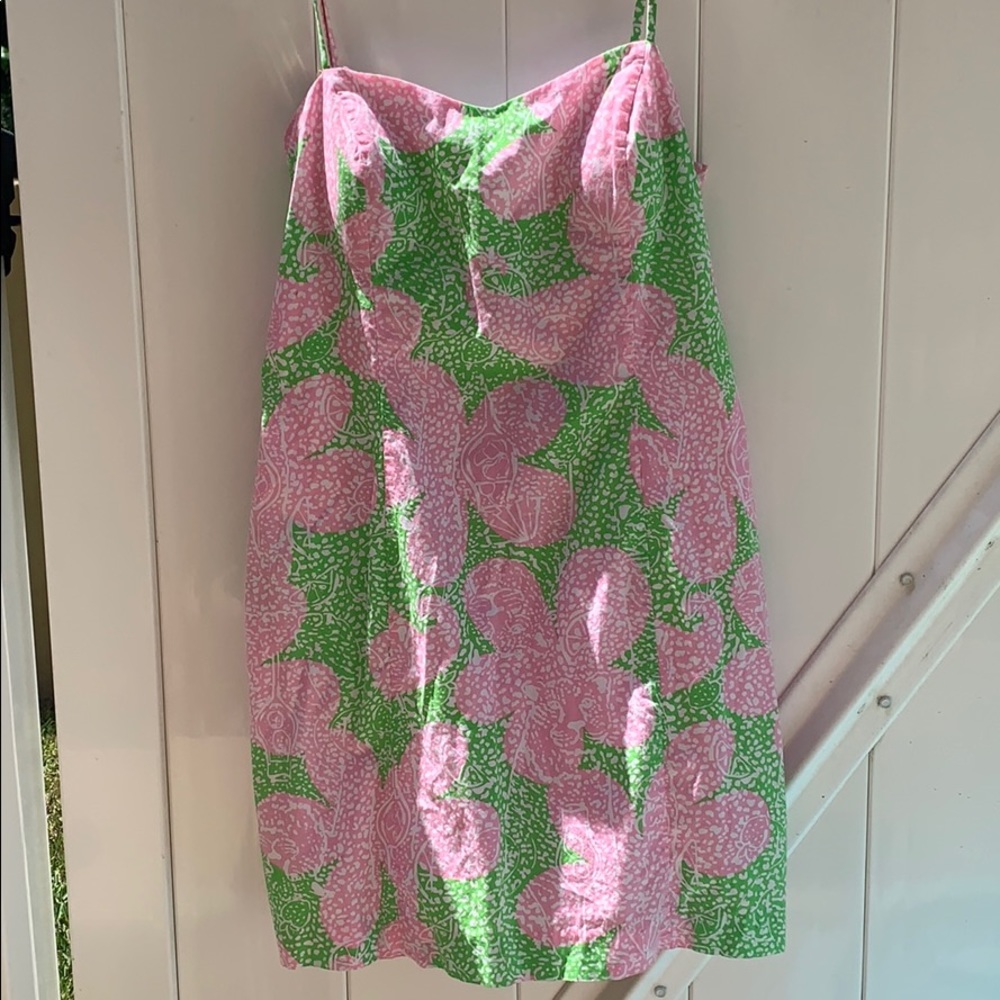 Lilly Pulitzer dress